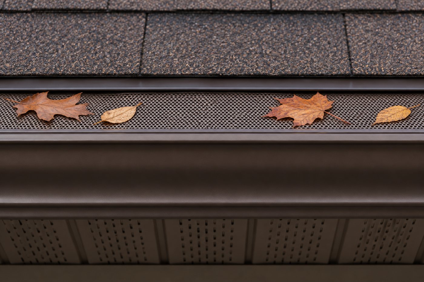 Bronze aluminum + leaf guard